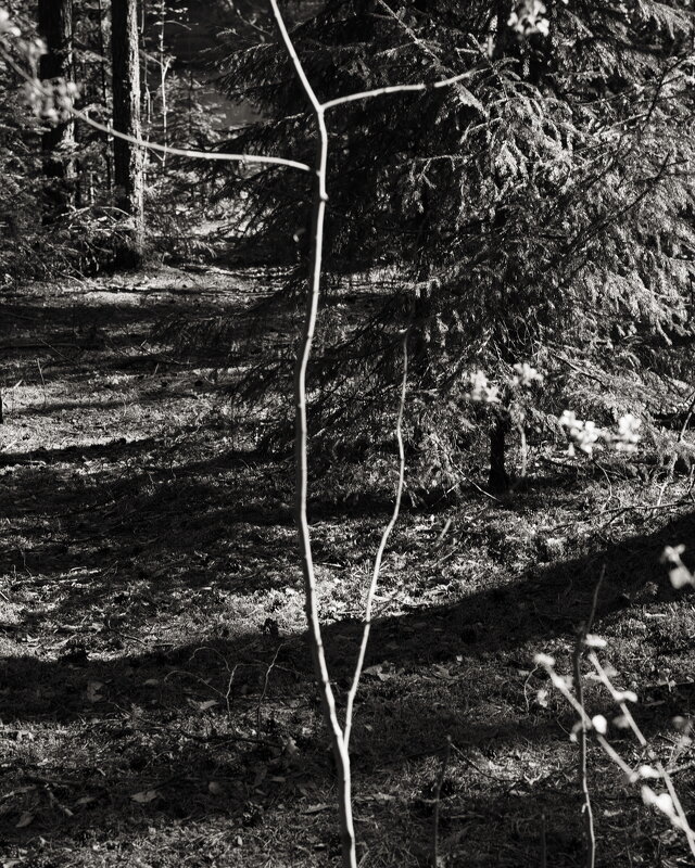 Название отсутствует - Денис Безногов Название отсутствует - Денис Безногов