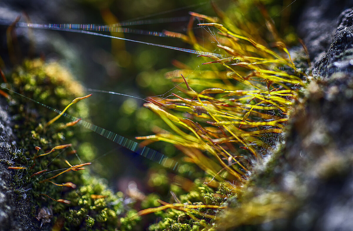 В "ущелье" - Андроник Александр 