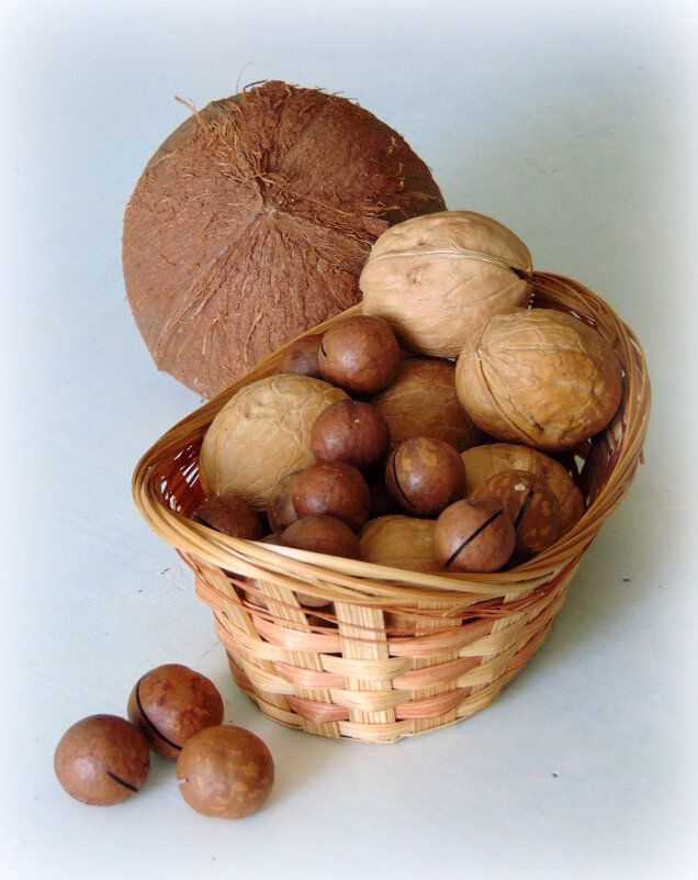 Орешки. - nadyasilyuk Вознюк