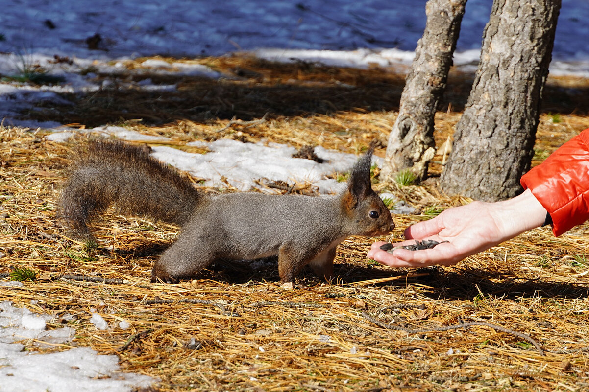 - Не жареные? - Галина Кан - Не жареные? - Галина Кан