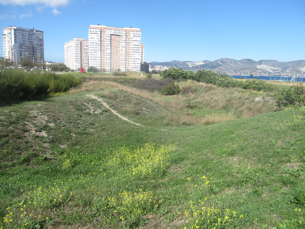 Новороссийск - Елена Шаламова