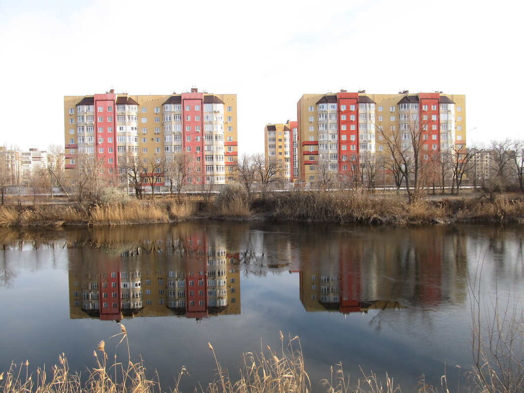 хороший день - Елена Шаламова