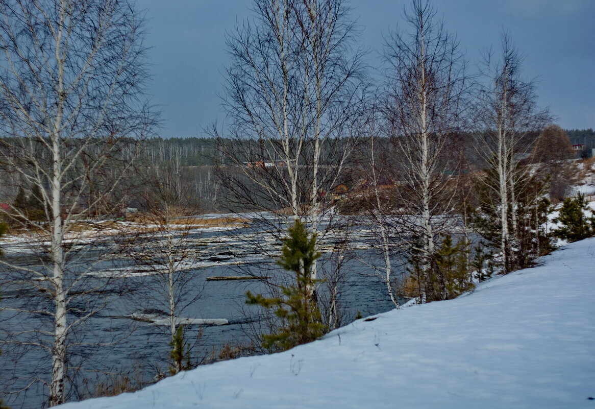 Исеть. Берёзки. Март 2025. - Михаил Полыгалов Исеть. Берёзки. Март 2025. - Михаил Полыгалов