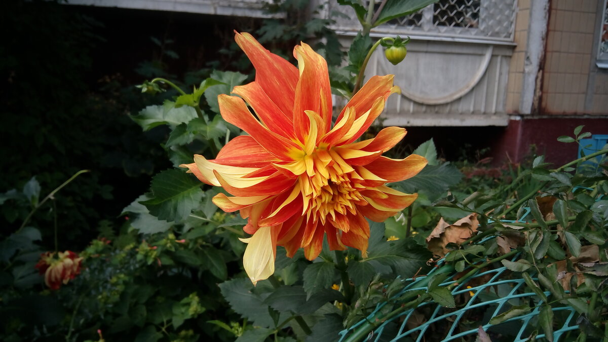 ,,, - Сергей Тимоновский