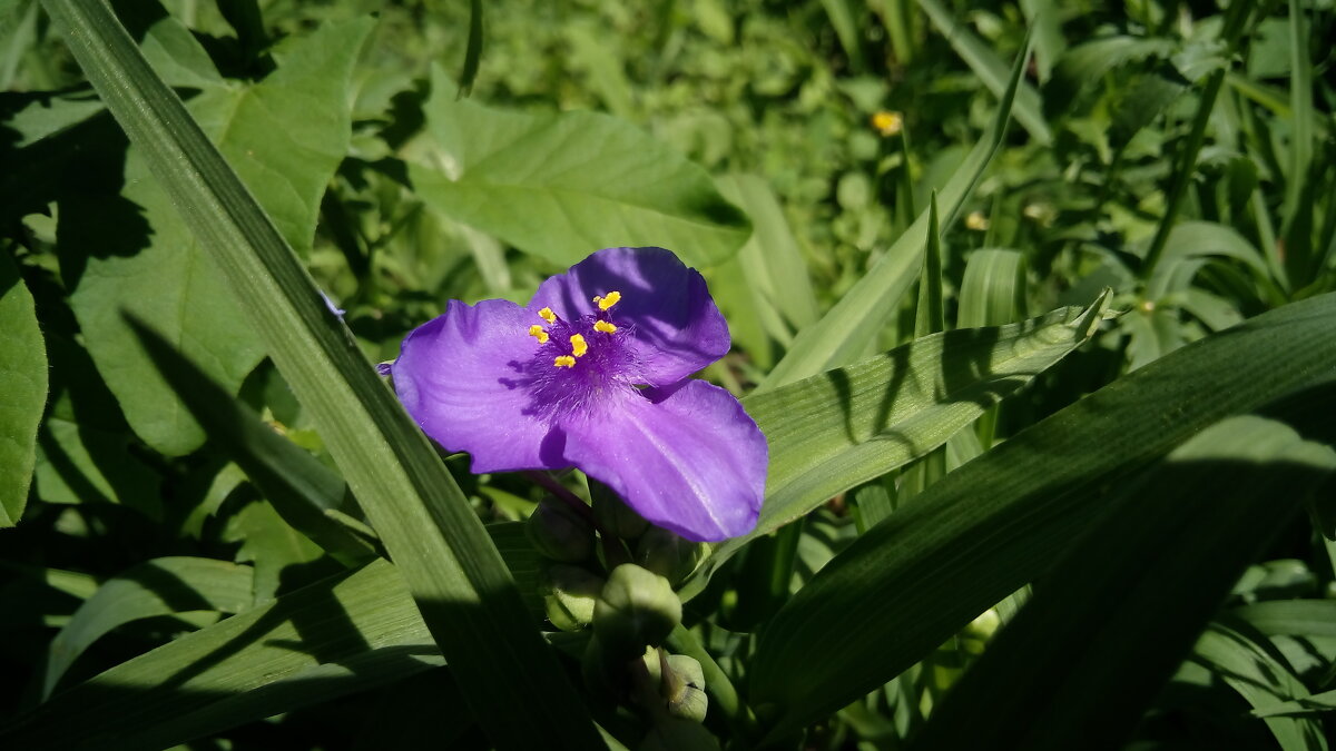 ,,, - Сергей Тимоновский ,,, - Сергей Тимоновский