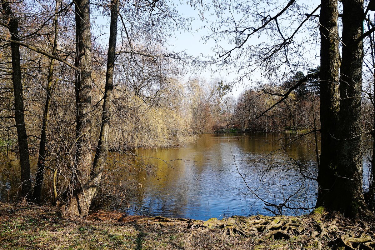 Картинки марта - Рита Симонова Картинки марта - Рита Симонова