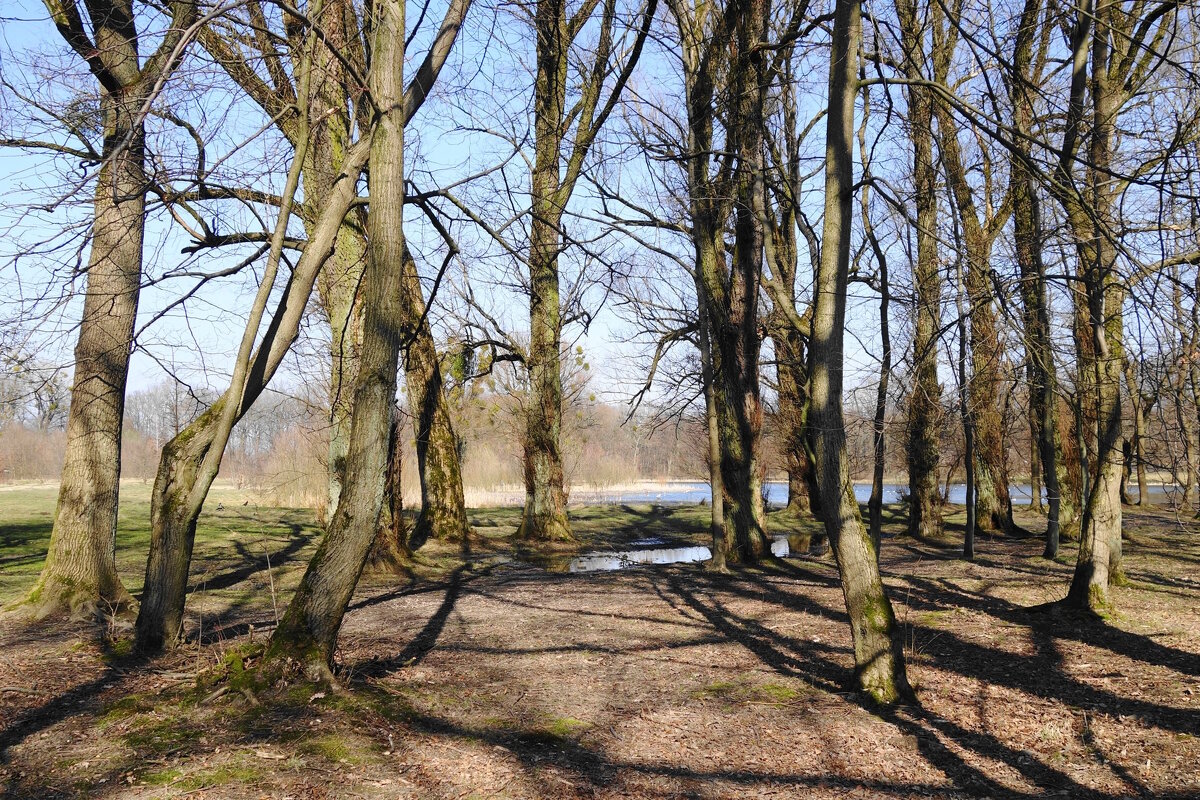 Картинки марта - Рита Симонова