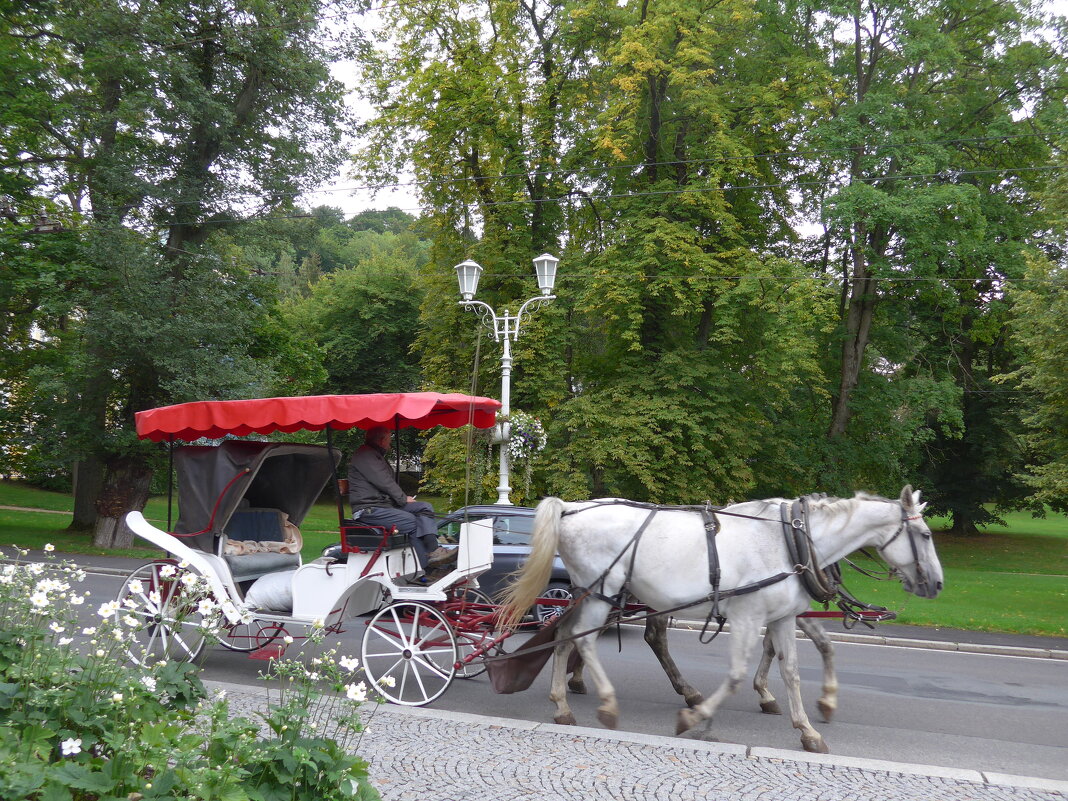 Экипаж - Ольга Лебедева (Беловласова) Экипаж - Ольга Лебедева (Беловласова)