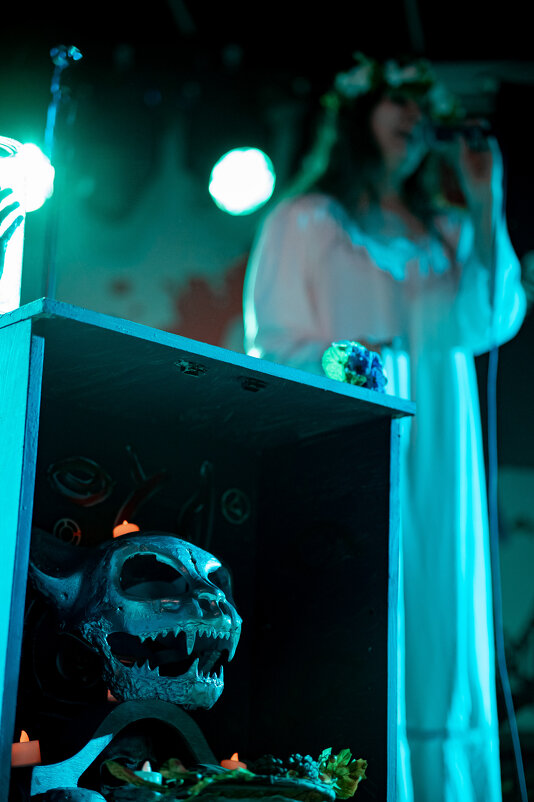 шестерни - Serega Alucard X2