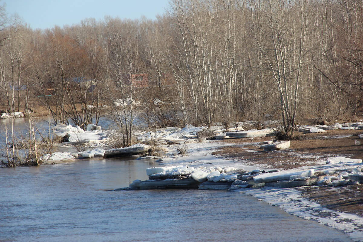 За городом. - Венера Чуйкова