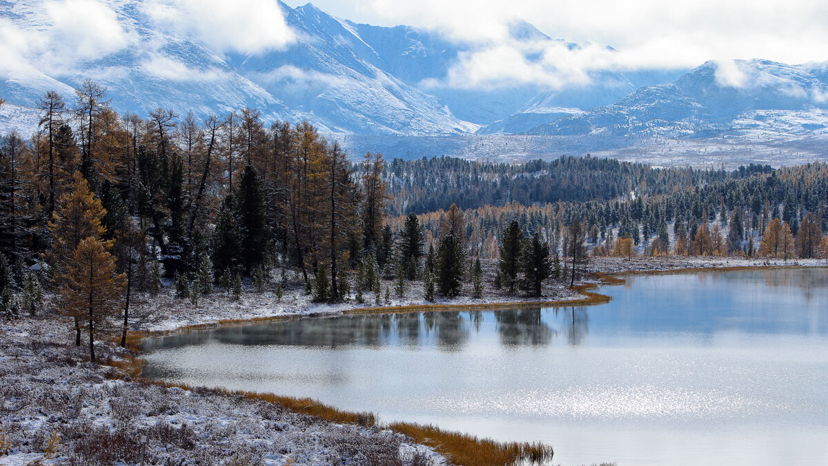 Предзимье... - владимир 