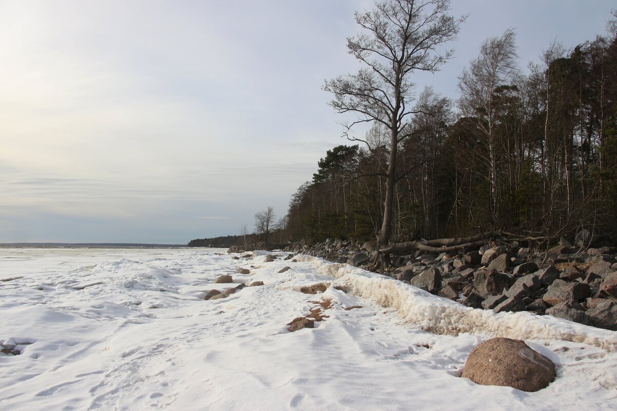 Зеленогорск - Наталья Герасимова Зеленогорск - Наталья Герасимова
