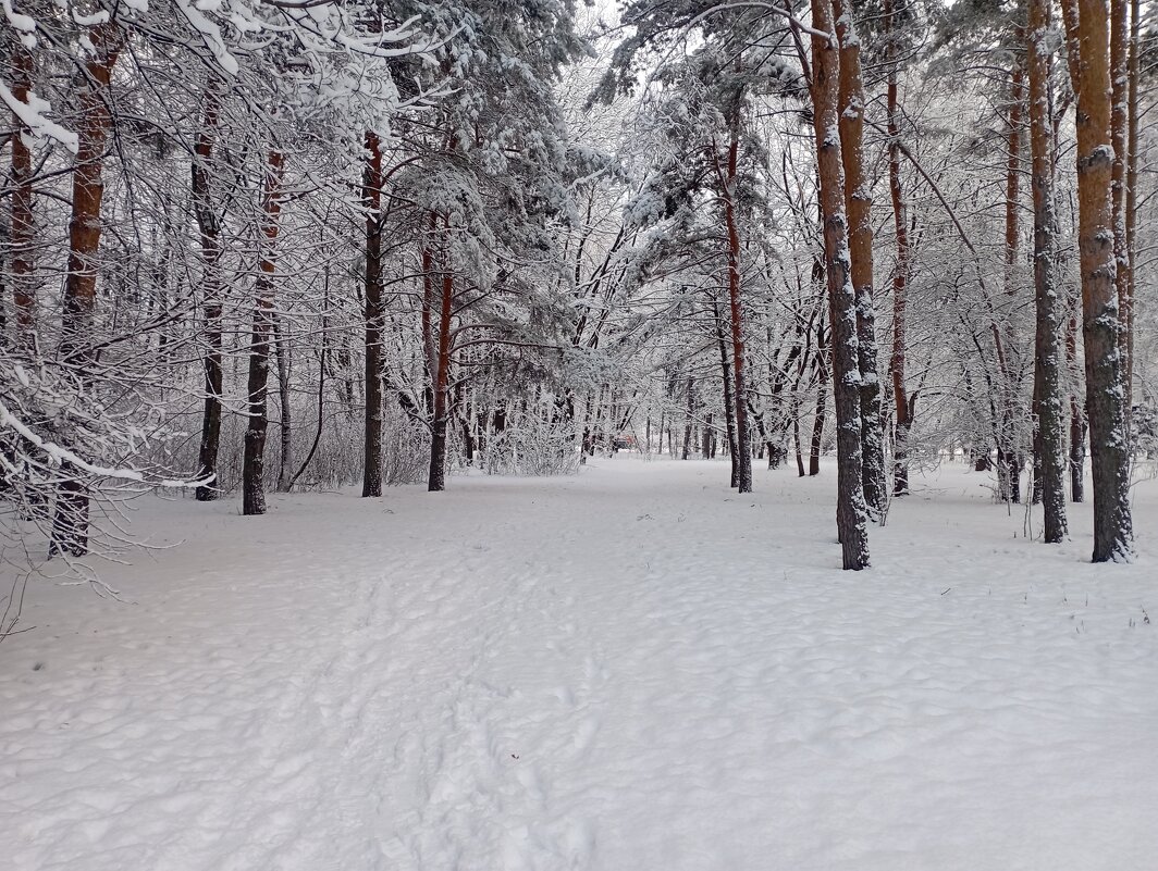 Зимняя сказка - Мара Абрамова
