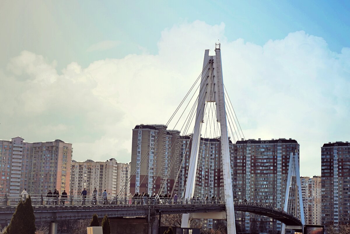 Павшинский мост — пешеходный вантовый мост - Татьяна Помогалова Павшинский мост — пешеходный вантовый мост - Татьяна Помогалова