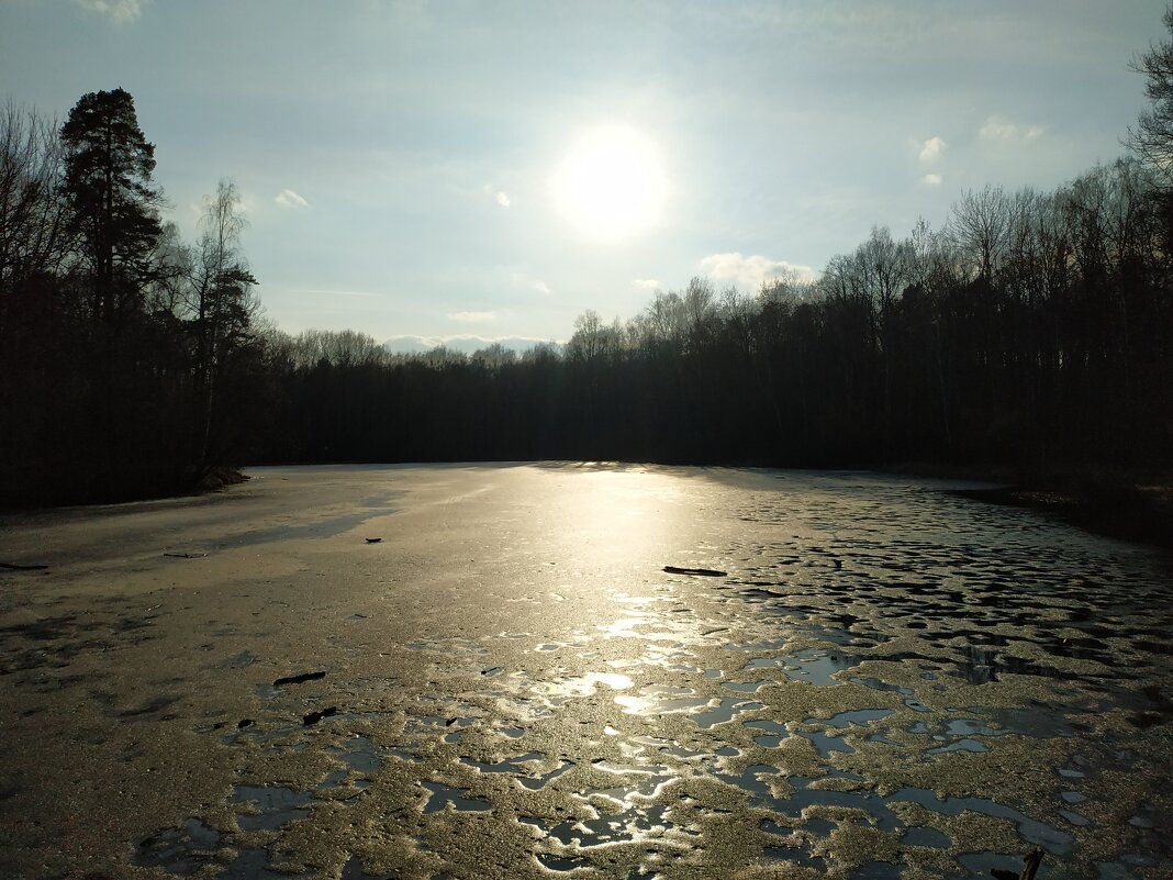 Март в Измайловском парке - Андрей Лукьянов Март в Измайловском парке - Андрей Лукьянов