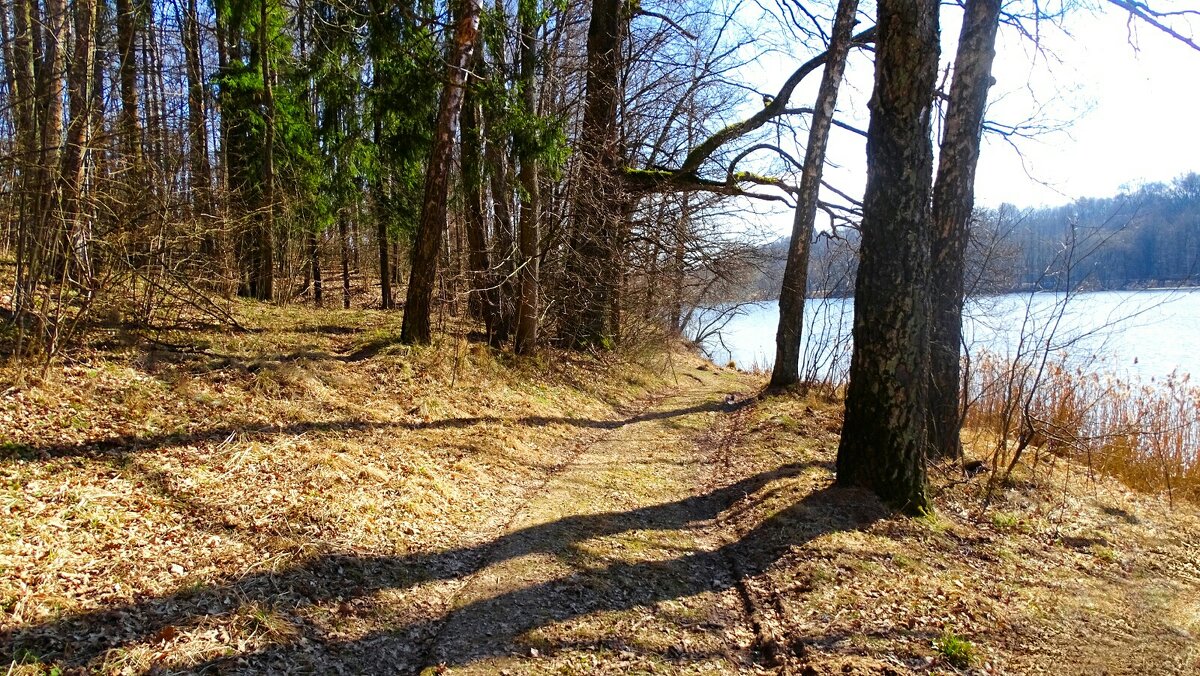 Наша весна. - Милешкин Владимир Алексеевич Наша весна. - Милешкин Владимир Алексеевич
