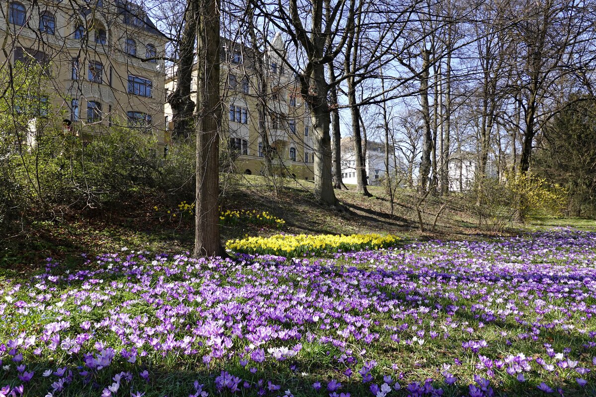 Море цветов!!!... - Галина 