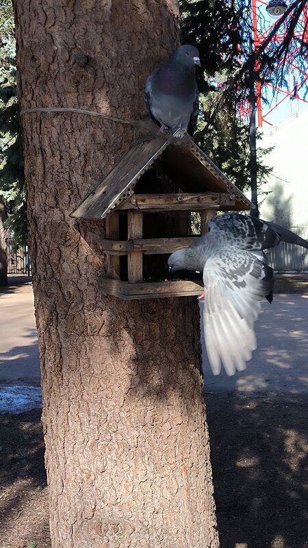 А что сегодня на обед? - Ольга А что сегодня на обед? - Ольга