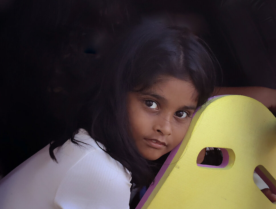 Будущее Шри-Ланки - Галина Ильясова Будущее Шри-Ланки - Галина Ильясова