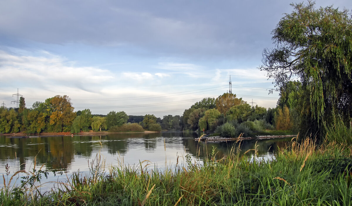 **** - Андроник Александр 