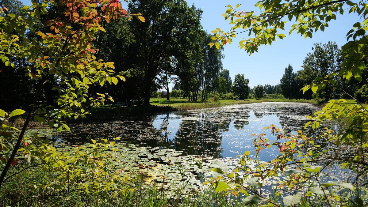 Зеркальный пруд в Тригорском - Олег Зоркий