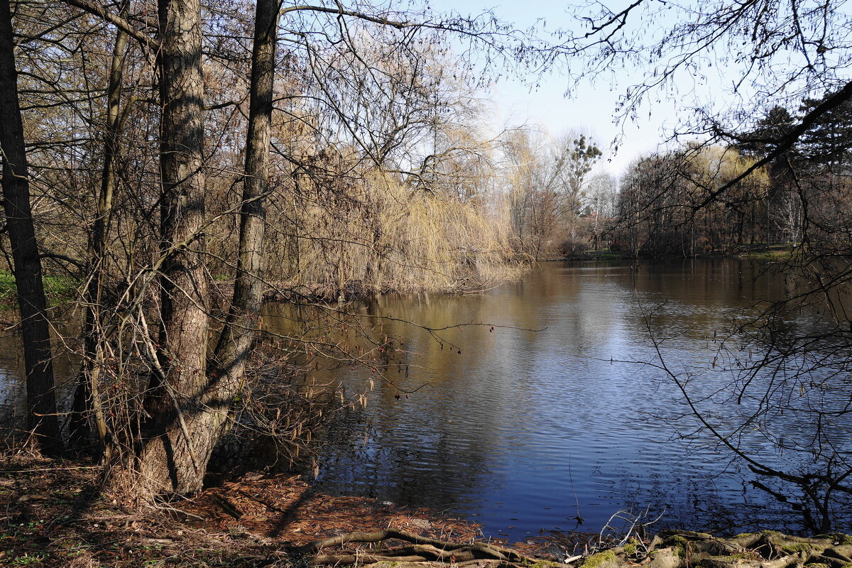 Март - Рита Симонова Март - Рита Симонова