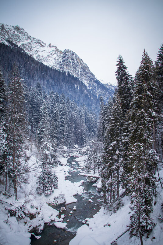 Домбай - Тамара Федорова