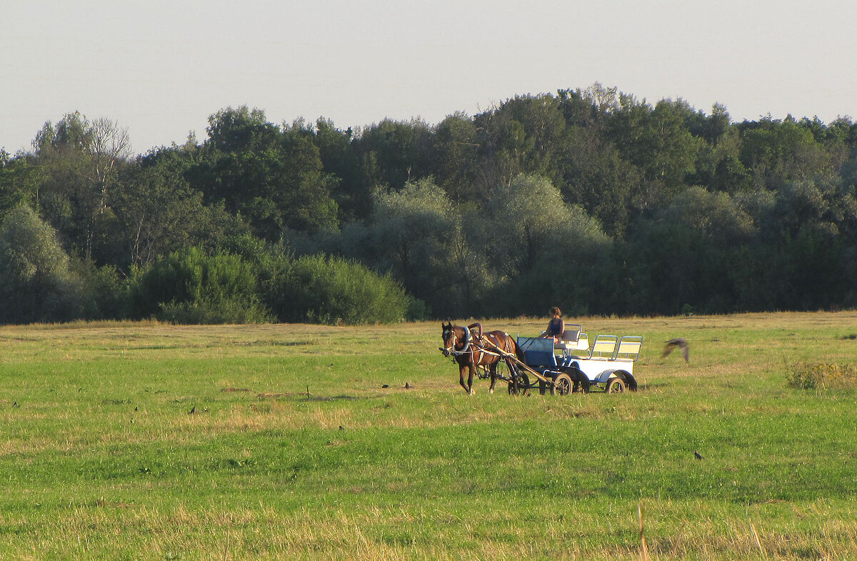 На Боголюбовском лугу - Александр Ильчевский На Боголюбовском лугу - Александр Ильчевский