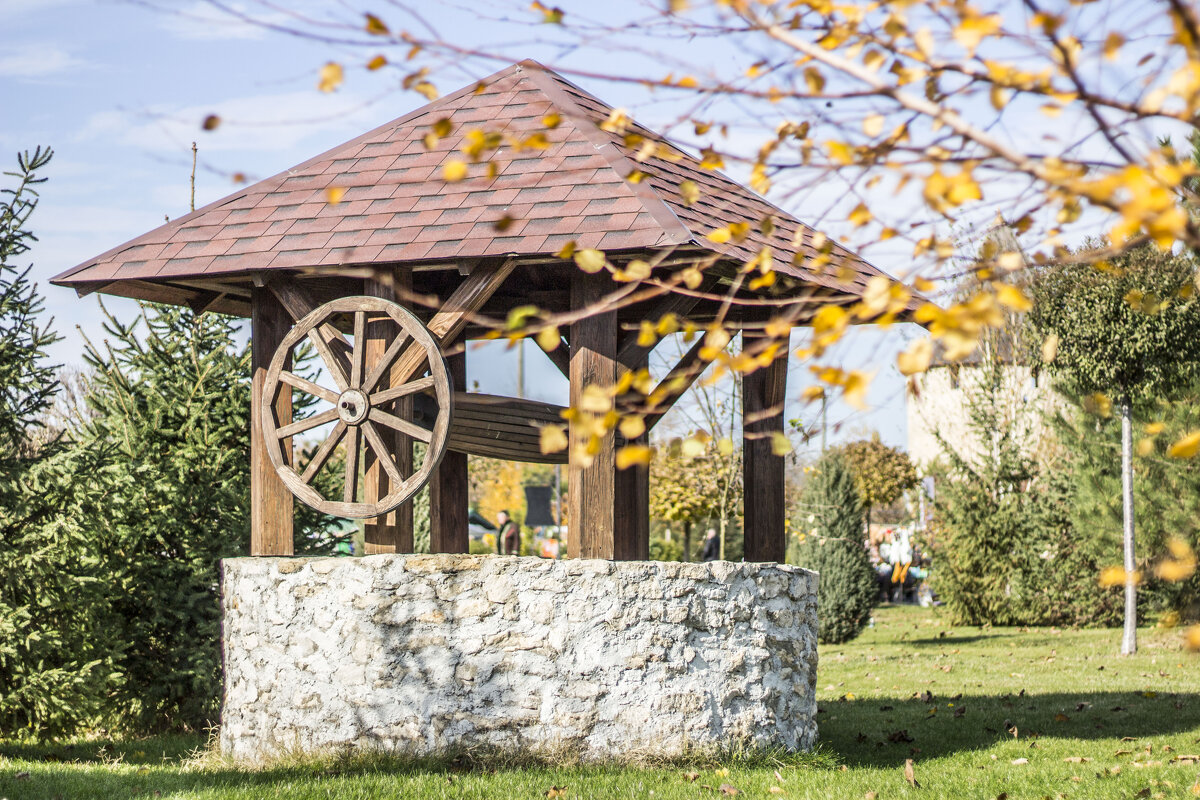 Колодец без маятника - Коля Лукашов