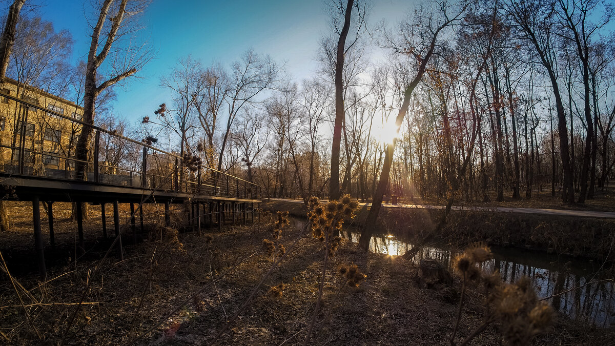 ***** - юрий поляков