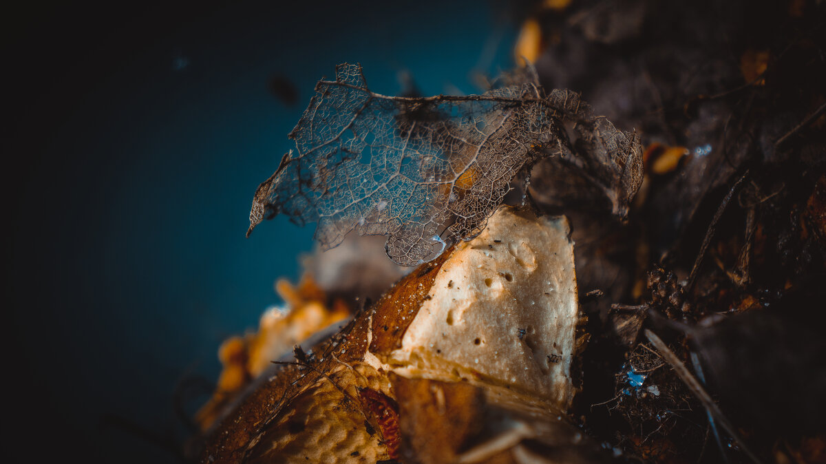 Абстрактное - Варвара Высоцкая