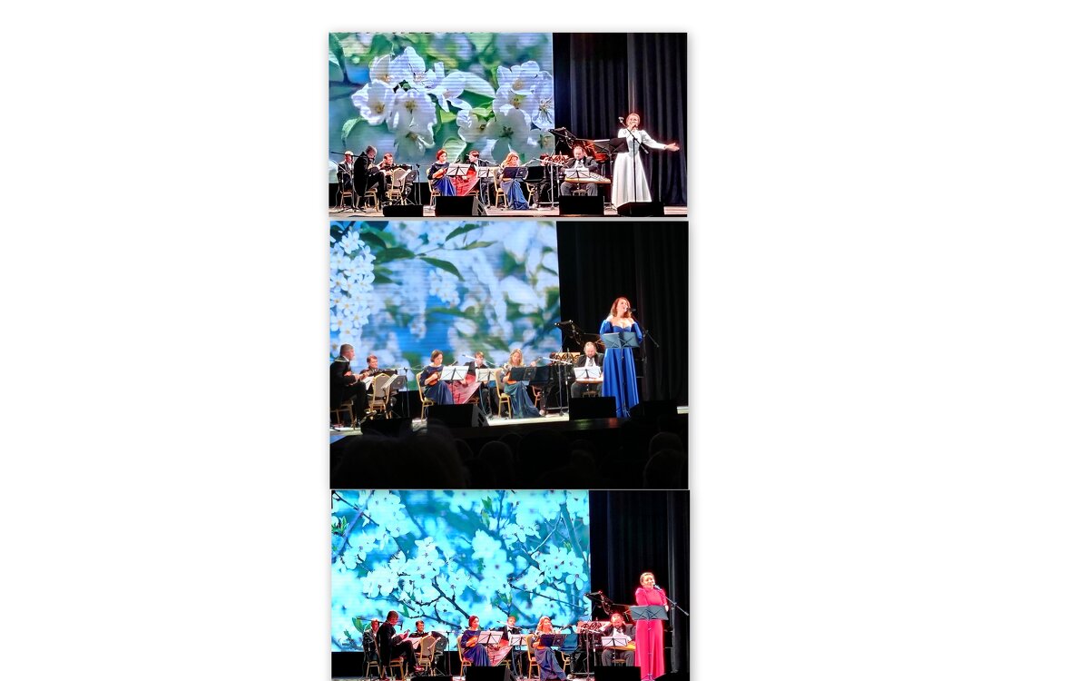 Концерт в цветах российского флага. - Александр Чеботарь