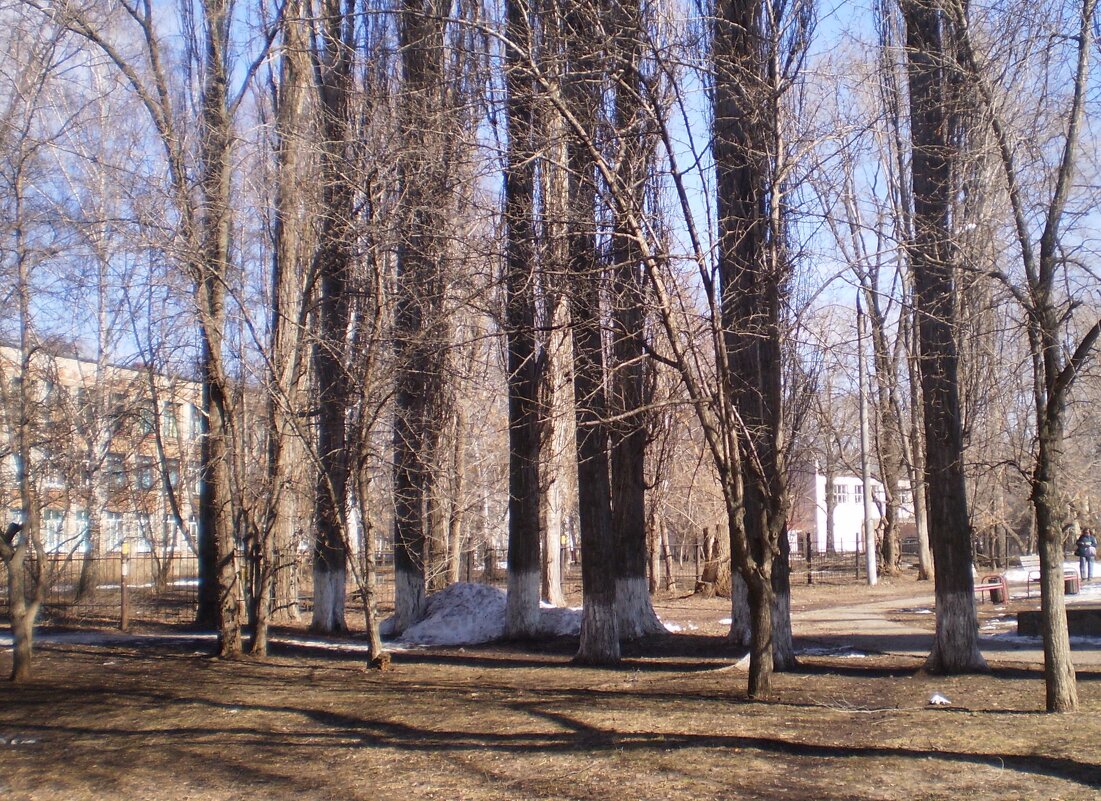 Мой город весной. - Венера Чуйкова Мой город весной. - Венера Чуйкова