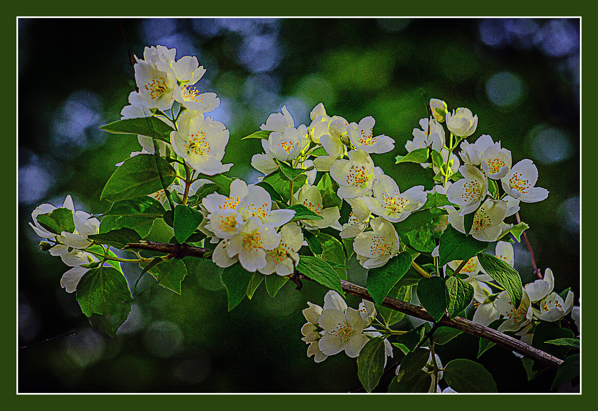 ВЕСНА СТУЧИТСЯ В ДВЕРЬ - Владимир Кроливец
