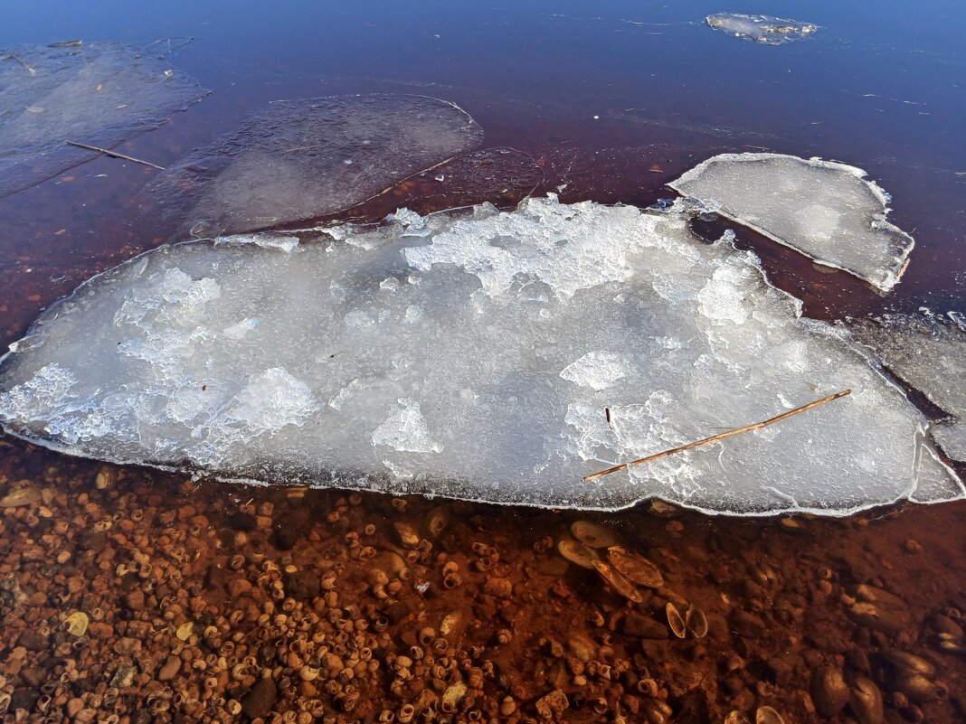 Льдинка растай. - Лия ☼