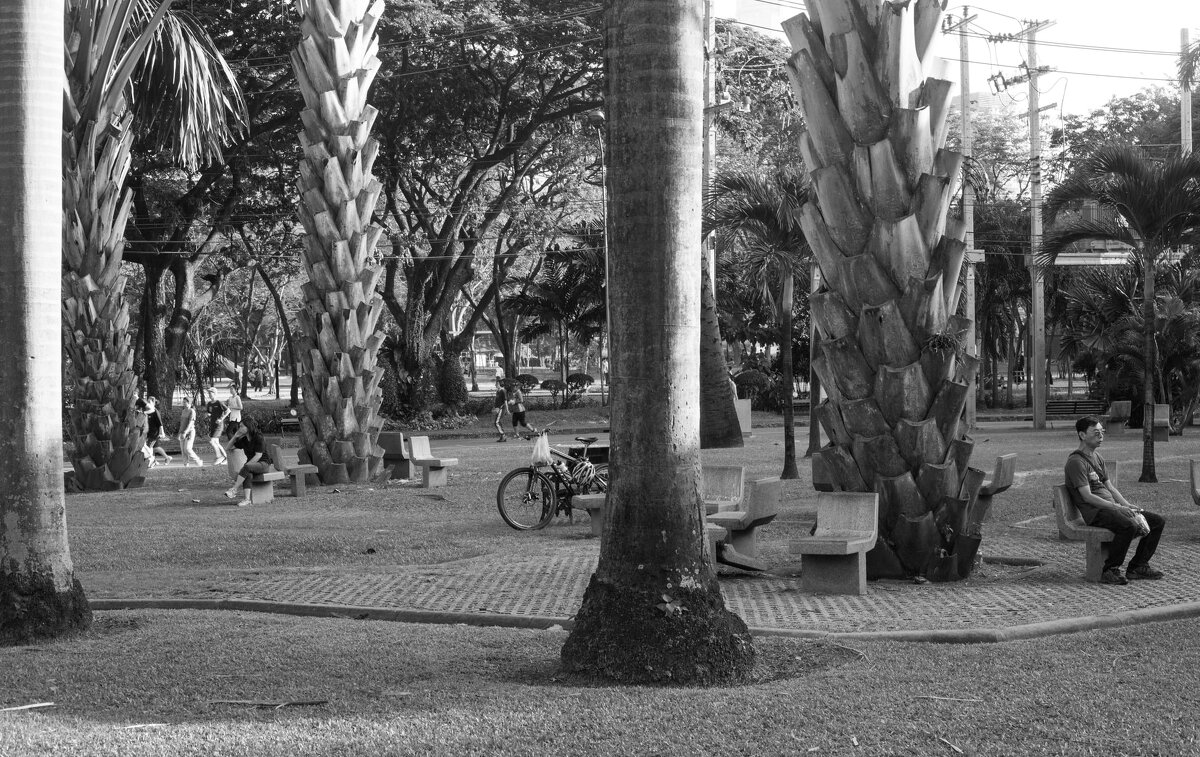 парк Люмпини - Алексей Туркин