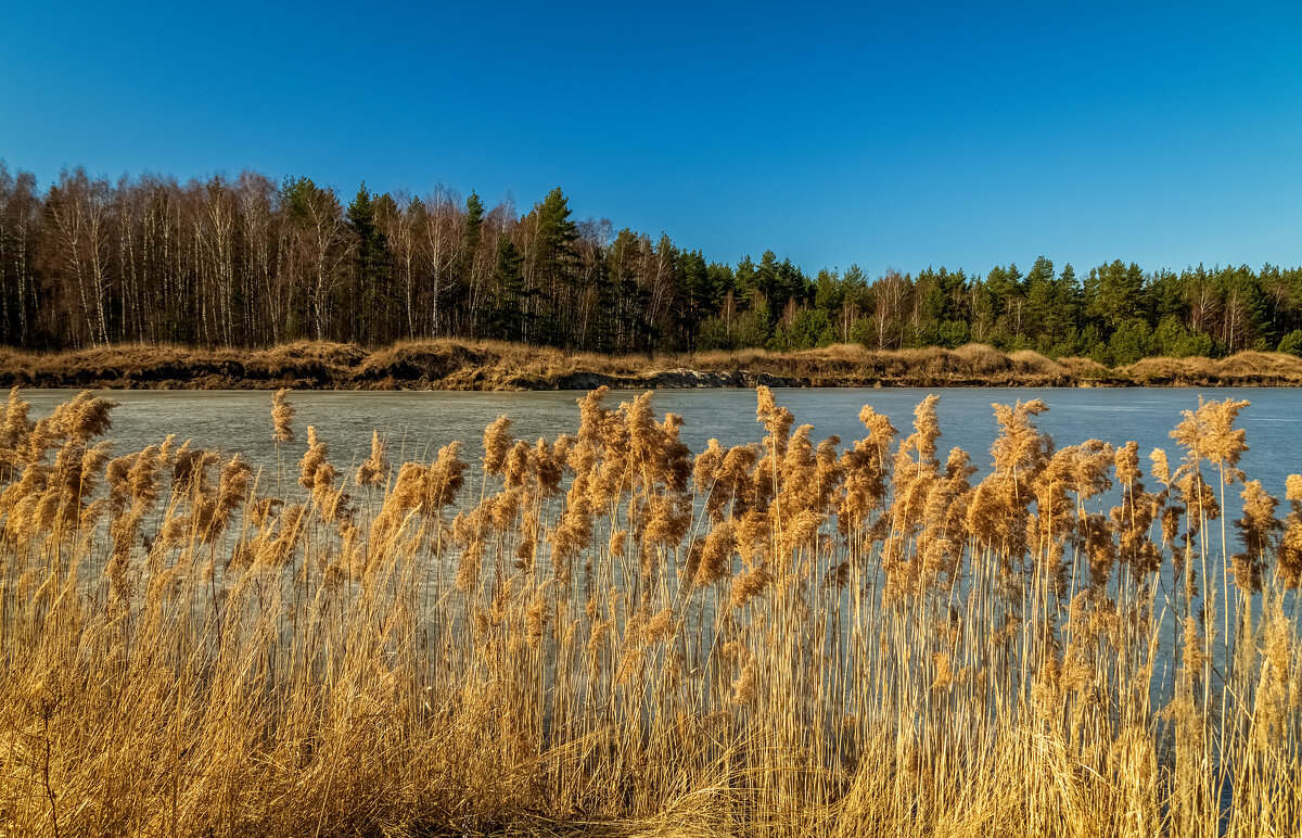 Утро 23 марта 03 - Андрей Дворников Утро 23 марта 03 - Андрей Дворников
