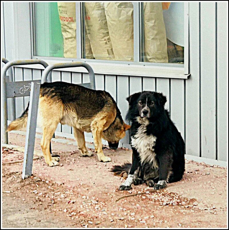 жду друга с добрым сердцем.... - Любовь жду друга с добрым сердцем.... - Любовь