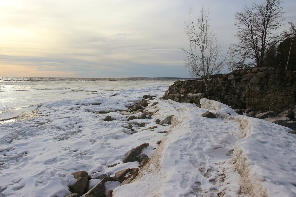 Зеленогорск - Наталья Герасимова