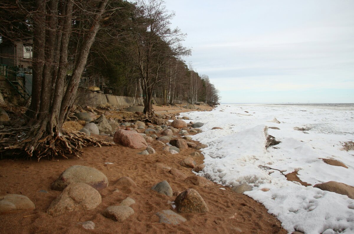 Зеленогорск - Наталья Герасимова