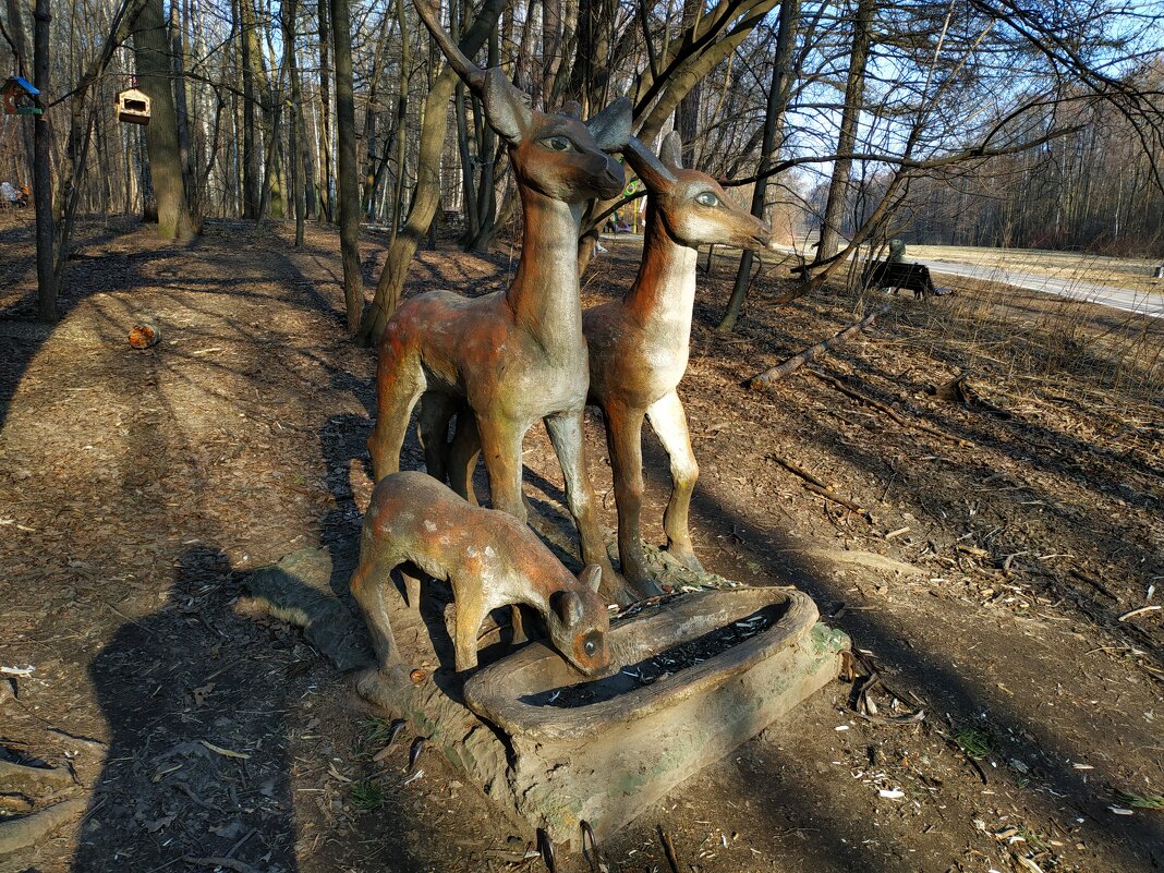 Обитатели Измайловского парка - Андрей Лукьянов Обитатели Измайловского парка - Андрей Лукьянов