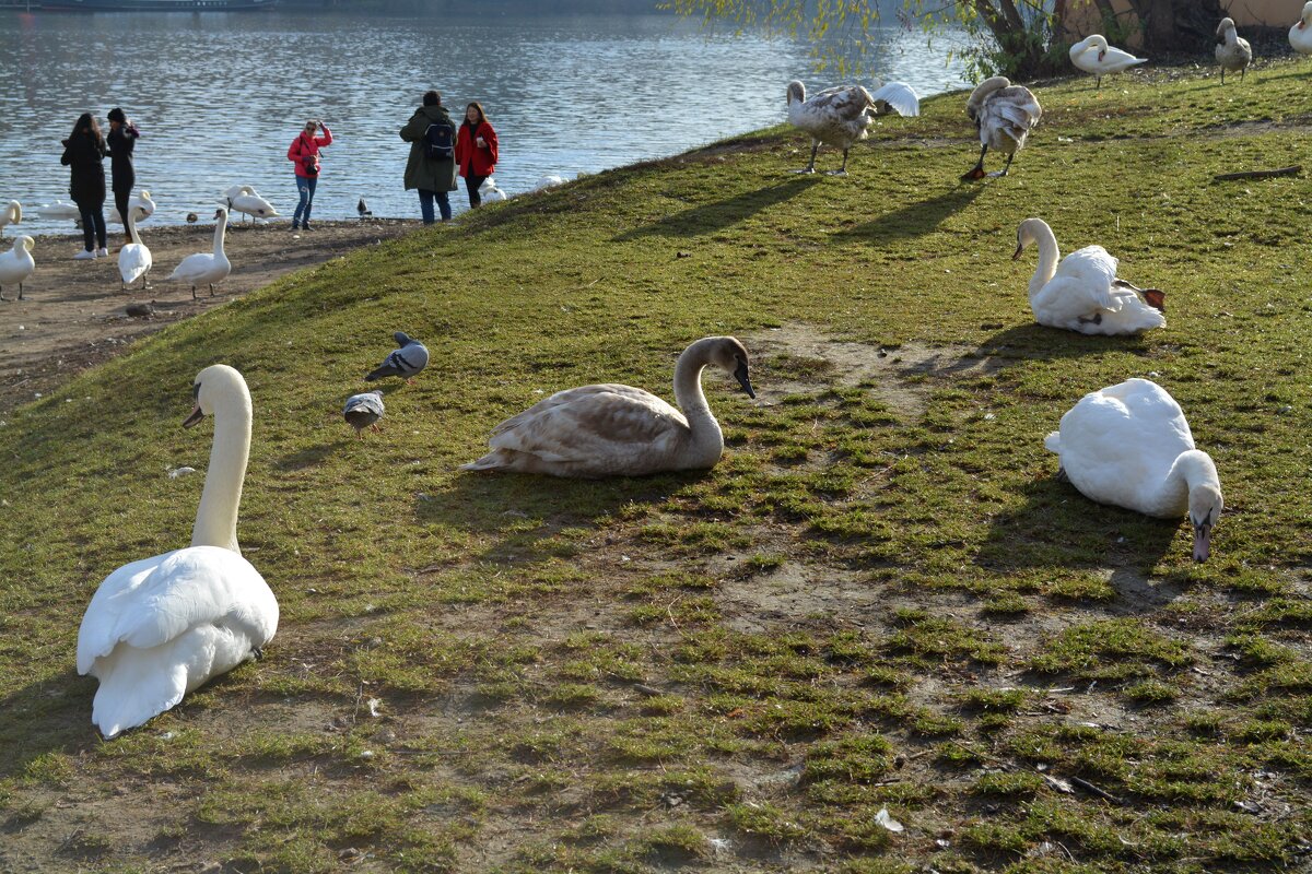 L - Андрей Л. В. L - Андрей Л. В.