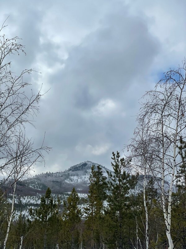 Весна пришла - Георгиевич Весна пришла - Георгиевич