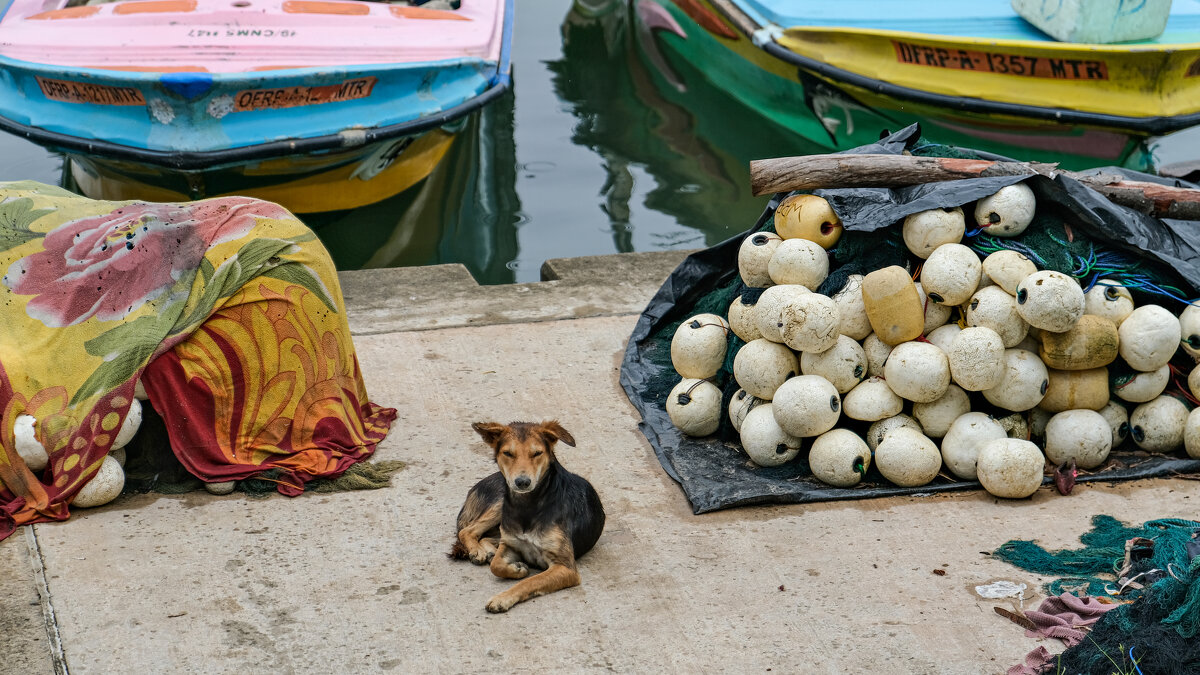 ждет улов - Dmitry i Mary S ждет улов - Dmitry i Mary S