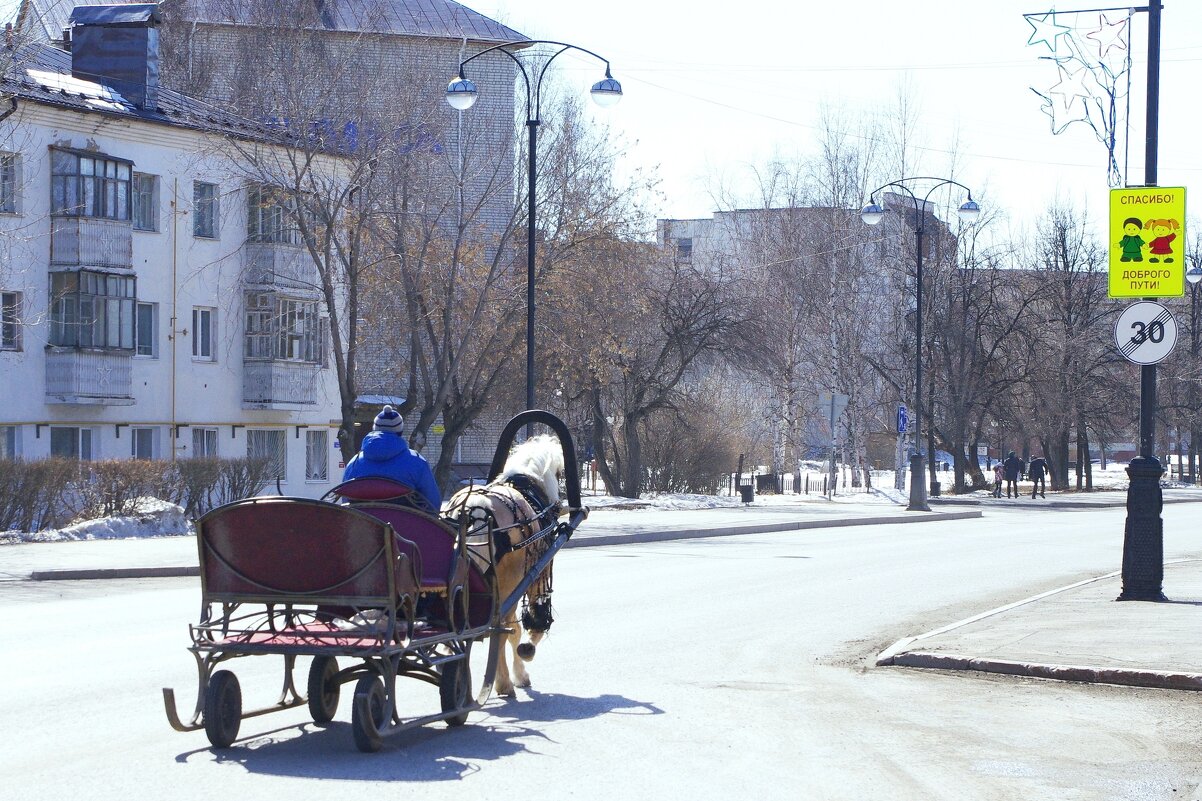 Гужевой транспорт - Сергей Швечков Гужевой транспорт - Сергей Швечков