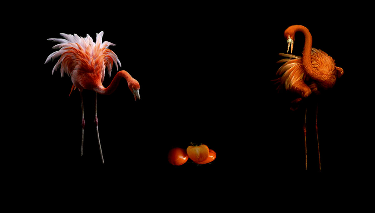 Любопытство - Е.М. ***