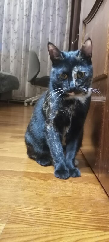 Спустя полгода. - Ольга 