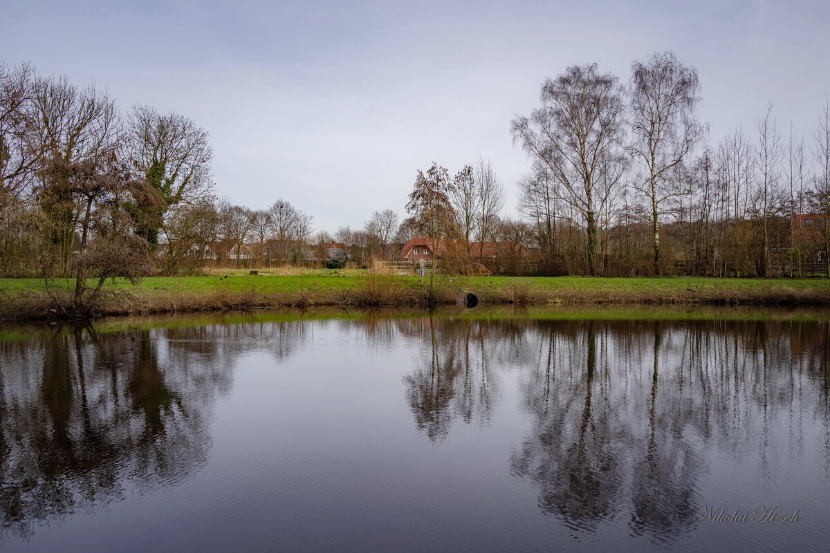 Тихий февраль... - Николай Гирш Тихий февраль... - Николай Гирш
