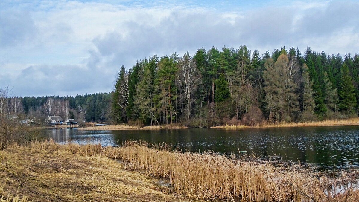 Природа в конце марта. - Милешкин Владимир Алексеевич 