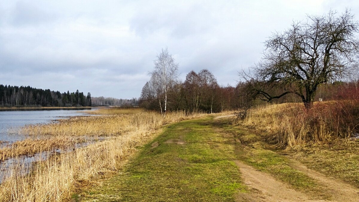 Весна в марте (репортаж из поездок по области) - Милешкин Владимир Алексеевич 